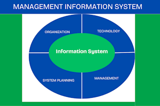 write management information system