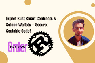 be write professional rust code smart contracts or solana wallet