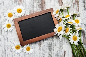 write on anthropology, philosophy, sociology, history and religion