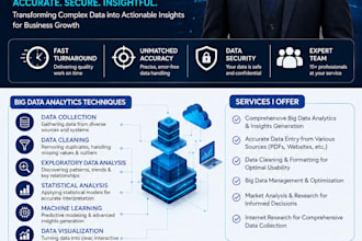 do big data analytics and accurate data entry services