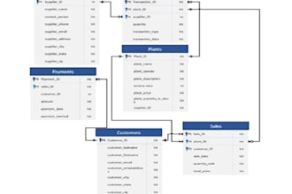 do database schema design, queries, and database solutions