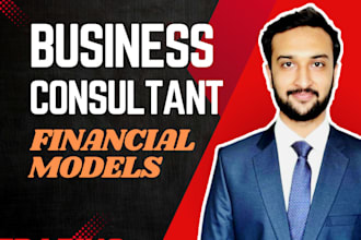 do financial models, projections, business valuations, forecasts