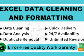 excel data solutions, clean, format, validate, split data