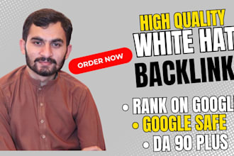 provide professional, high authority SEO backlinks service for you