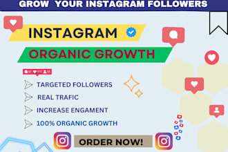 grow your instagram with targeted organic followers growth