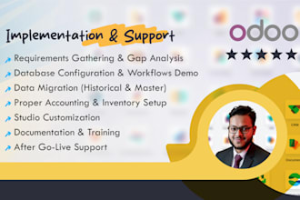 do odoo accounting and inventory setup with data migration