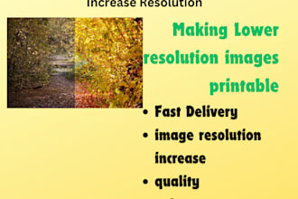 resize and enhance image resolution to 300 dpi, 600 dpi, or crop your image