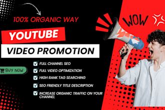 be your youtube SEO expert for quick video ranking