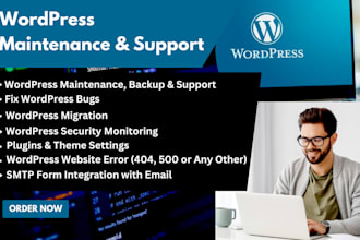 provide maintenance and support for your wordpress website