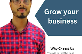 develop a complete business plan for investors