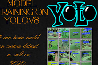 develop a yolo based object detection model for your project