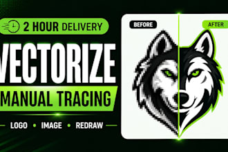 convert logo to vector, image to vector and vectorize manually