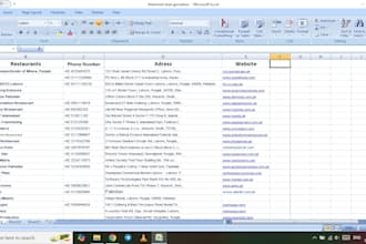 do microsoft office word,excel,powerpoint,and data entry projects