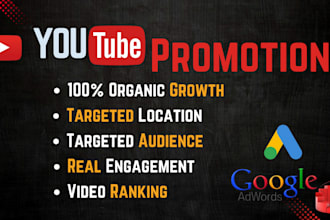 do youtube video promotion for your aimed  audience