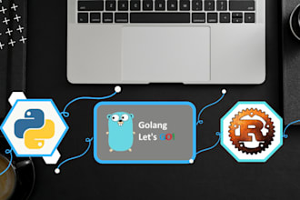 do any rust, python and go programming projects and tasks