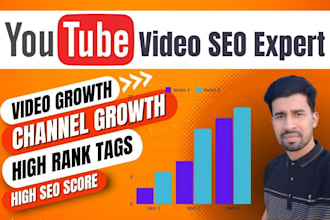 do best youtube video SEO expert optimization and channel manager