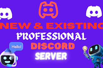 setup and customize your discord server, nft server, discord management, server