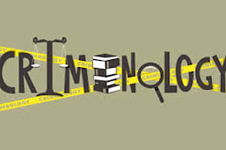 do law essays, legal research american history and criminology