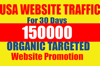provide USA organic website promotion for 30 days