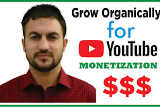 complete youtube channel promotion for monetization requirements