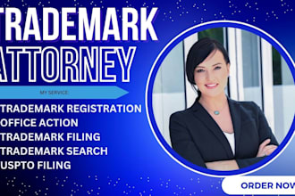 expertly do a trademark registration in USA and search