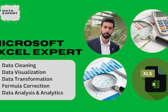 do data cleaning, visualization and analytics using  excel