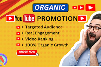 do super fast organic youtube video promotion to gain views