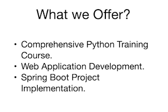 help with programming and offer python training