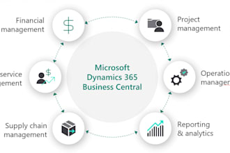 provide expert dynamics 365 business central consulting services