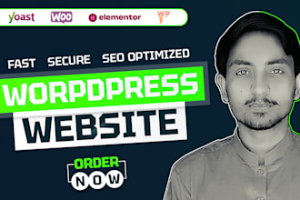 develop wordpress website for you