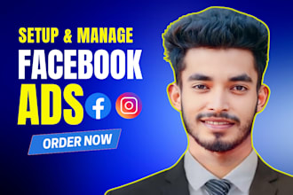 setup facebook ads campaign, instagram ads, for your business