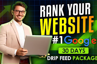 deliver a full monthly SEO package for your website rankings