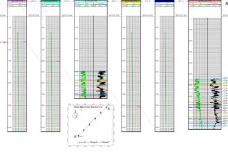 expert you in geological and geophysical software