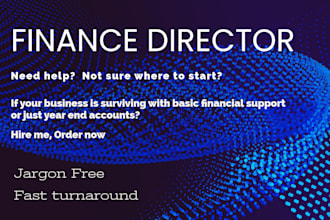 act as your strategic cfo or fractional finance director