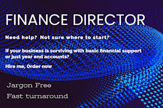 be your finance director