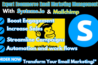 manage your ecommerce  email marketing campaigns with systeme io and mailchimp