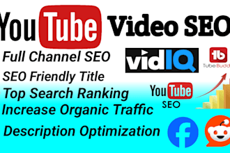 do best youtube video SEO and channel growth manager