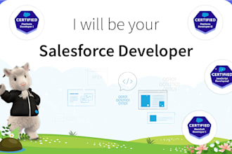 provide salesforce custom development and integration