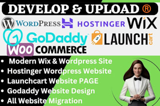 redesign wordpress website rebuild hostinger ecommerce store migrate godaddy url