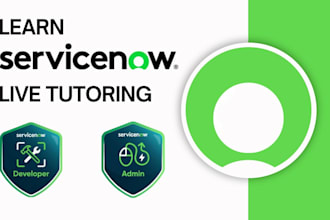 teach a servicenow developer and system administrator course