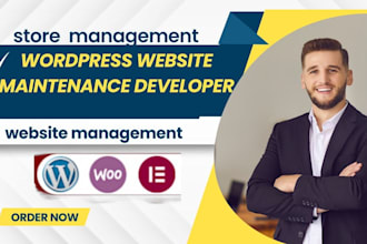 fix wordpress website issues errors development manager bugs  website redesign