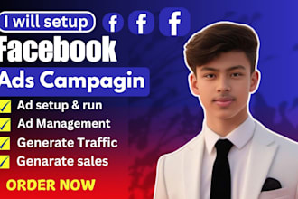 setup facebook ads and ig ads campaigns, meta ads campaigns