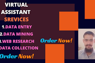 virtual assistant for data entry, copy paste, web research