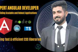 frontend angular developer with the latest angular version