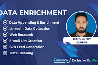 do data enrichment and appending, web research in 24 hours
