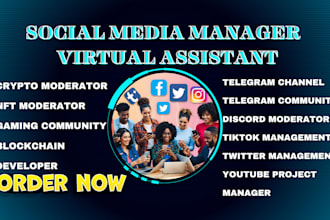 be your telegram community manager discord tiktok virtual assistant