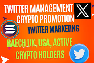 rise crypto token solana memecoin, and find investors via twitter marketing