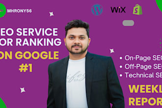 provide full SEO service for ranking on google
