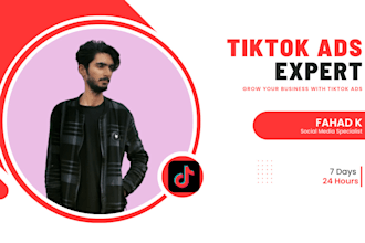 run and manage tiktok ads for dropshipping and lead generation