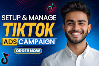 manage tiktok video ads, tiktok ads, dropshipping ads, as a tiktok ad manager
